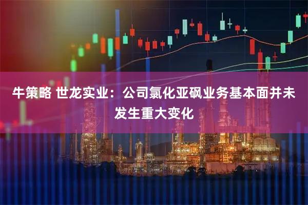 牛策略 世龙实业：公司氯化亚砜业务基本面并未发生重大变化