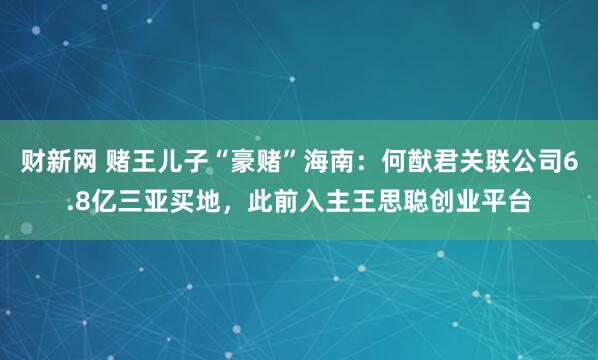 财新网 赌王儿子“豪赌”海南：何猷君关联公司6.8亿三亚买地，此前入主王思聪创业平台