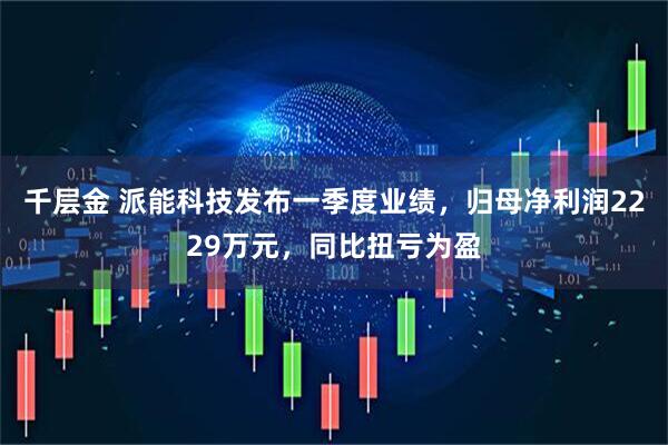 千层金 派能科技发布一季度业绩，归母净利润2229万元，同比扭亏为盈