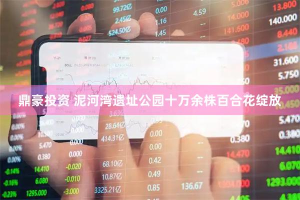 鼎豪投资 泥河湾遗址公园十万余株百合花绽放